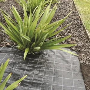 Anti Worteldoek 100 gr. zwart rol 210 cm breed