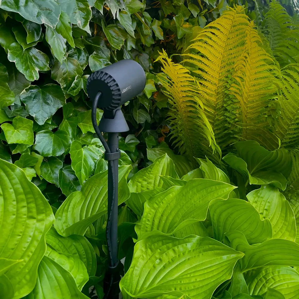 LightPro Multispike