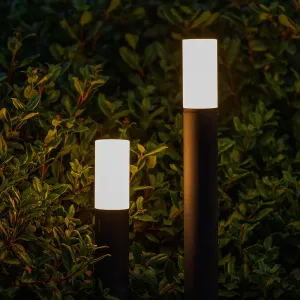 LightPro Oberon Hi 12V