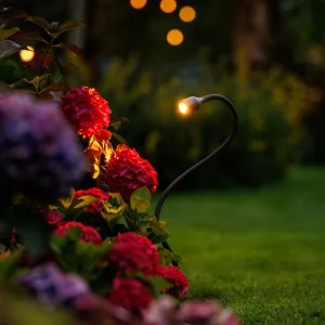 LightPro Xible 12V