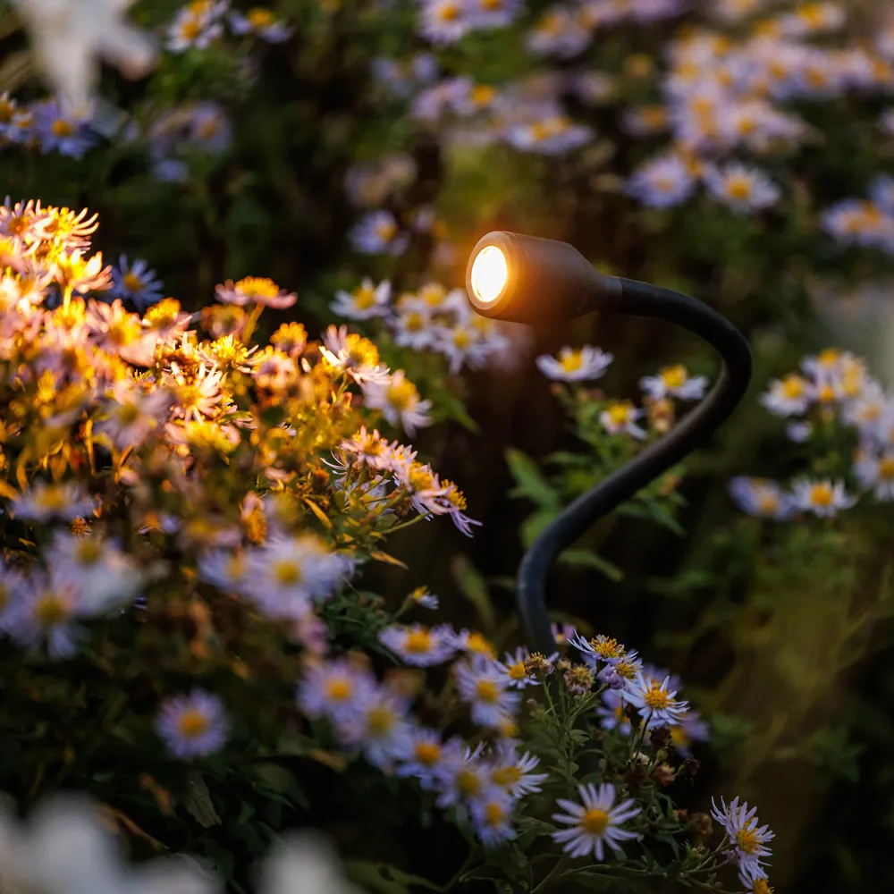 LightPro Xible 12V