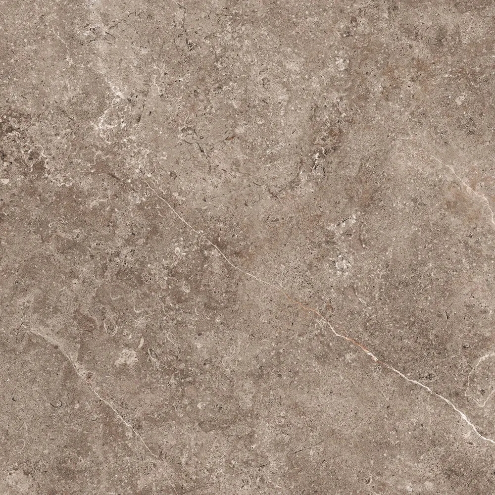 GeoCeramica 60x60x4 cm Landstone Earth