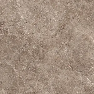 GeoCeramica 60x60x4 cm Landstone Earth
