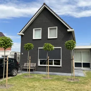 Gevelsteen HV WF Zwart 412 st/pt