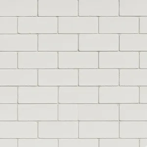 Kalkzandsteen waalformaat 214x102x55 CS16 720 st/pt